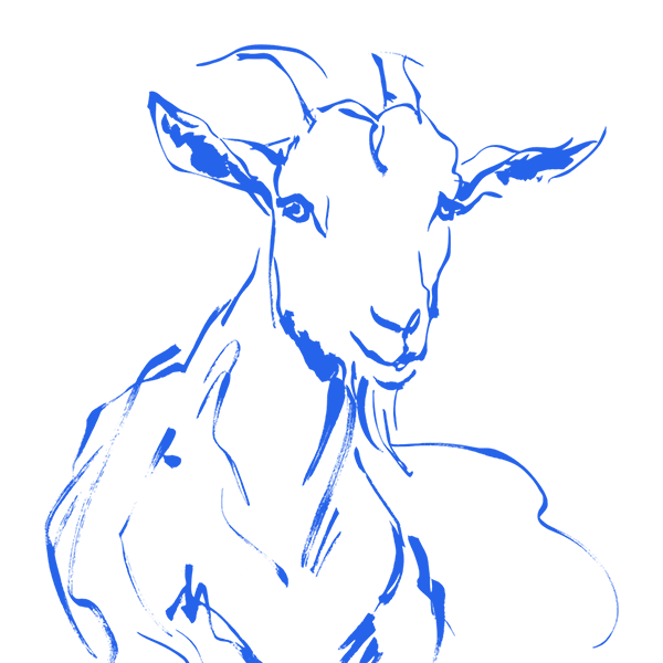 Coucou Les Chèvres illustration of a goat
